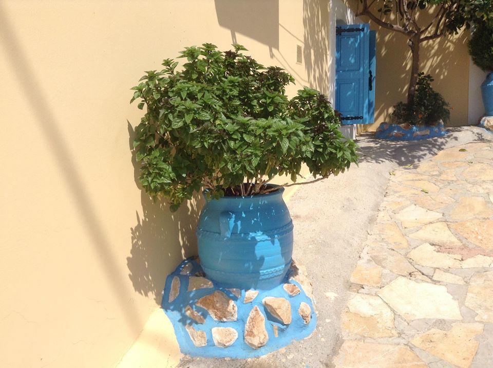 האלקי Villa Efraim Amalia מראה חיצוני תמונה